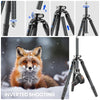 WEYLLAN TZ8 Horizontal Tripod Center Arm 40mm