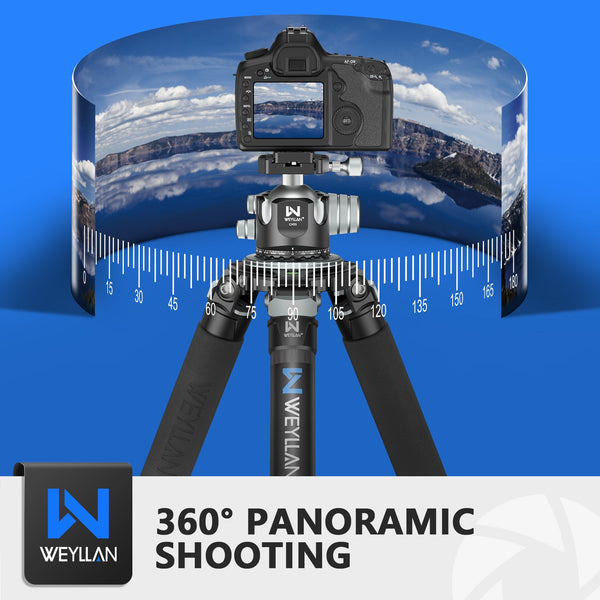 WEYLLAN CH55 Tripod Ball Head