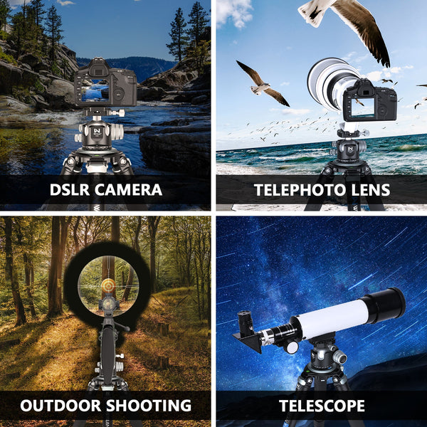 WEYLLAN CH55 Tripod Ball Head