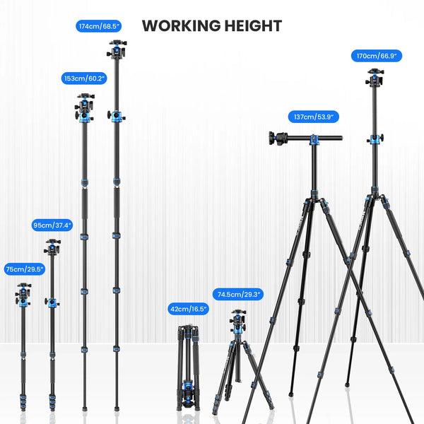 WEYLLAN TP6 Professional Horizontal Tripod for Camera